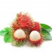 RAMBUTAN